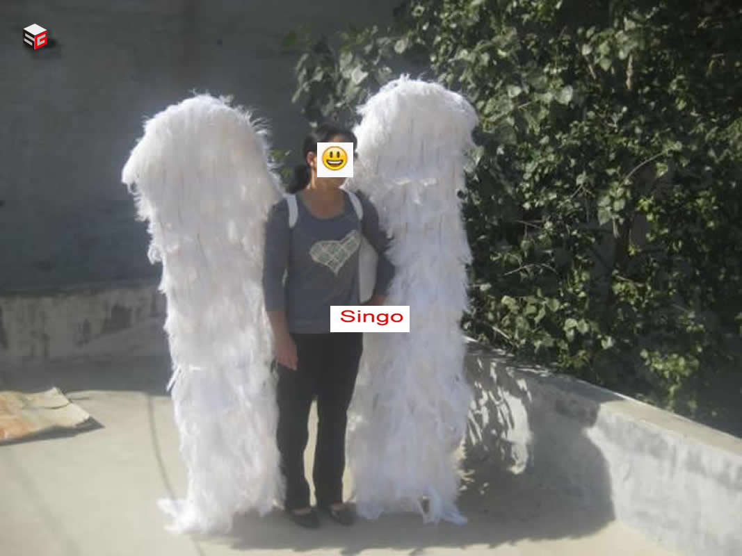 VCshoes Custom Made Ostrich Feather Crafts White Angel Wings INS Photography Props Photo Studio Accessories DIY Decorations