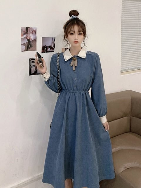 Dark Academia Vintage Elegant Long Sleeve Dress BE659