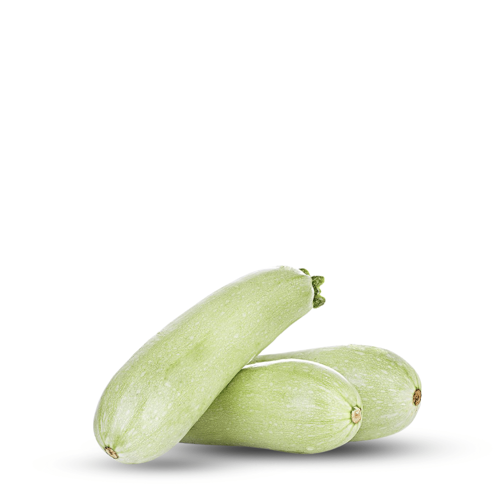 Heirloom Zucchini Seeds – Elegant White Italian Squash