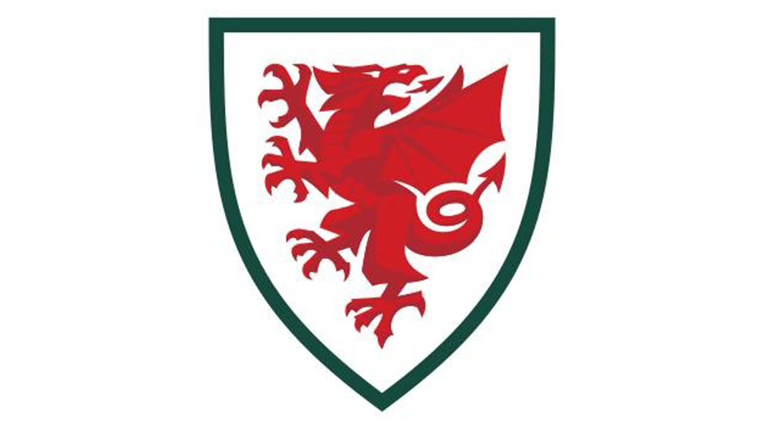 Wales Football Jersey