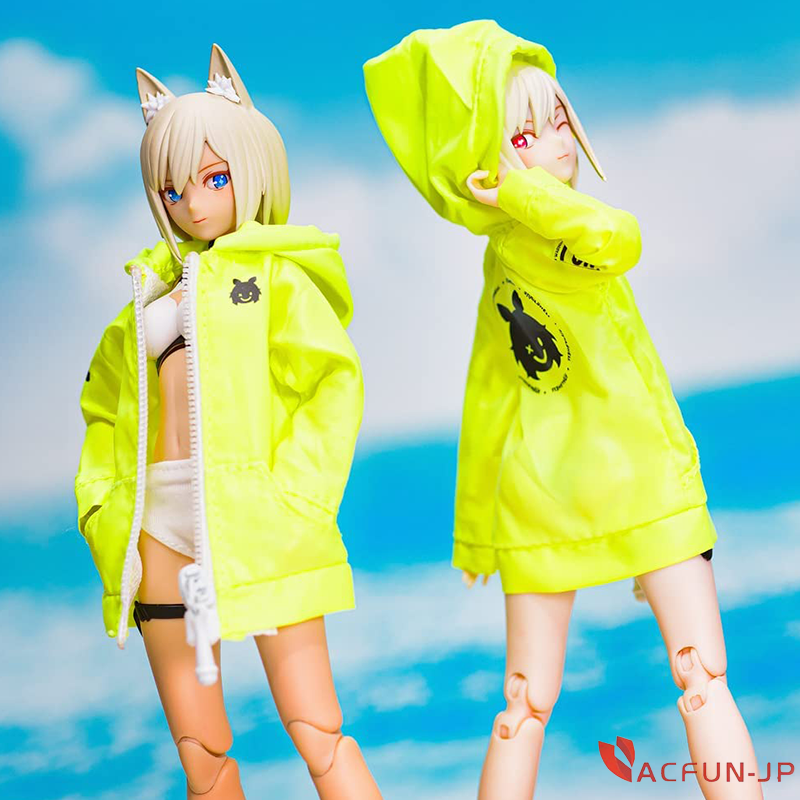 N craft　夜光貝の殻12個 N craft 夜光貝の殻12個 N craft様専用 夜光貝の殻