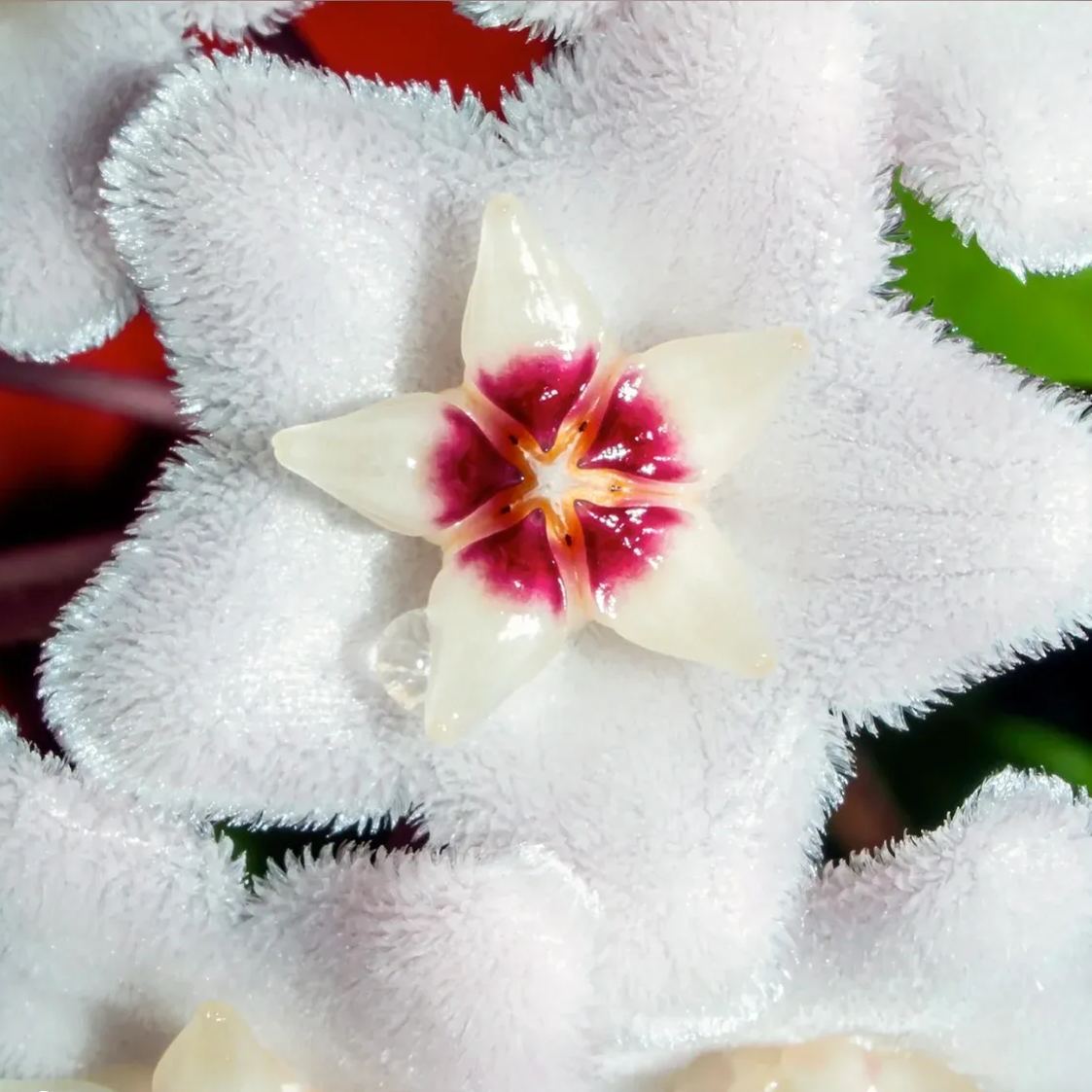 049e2030dabfeb139f91cd214fca66