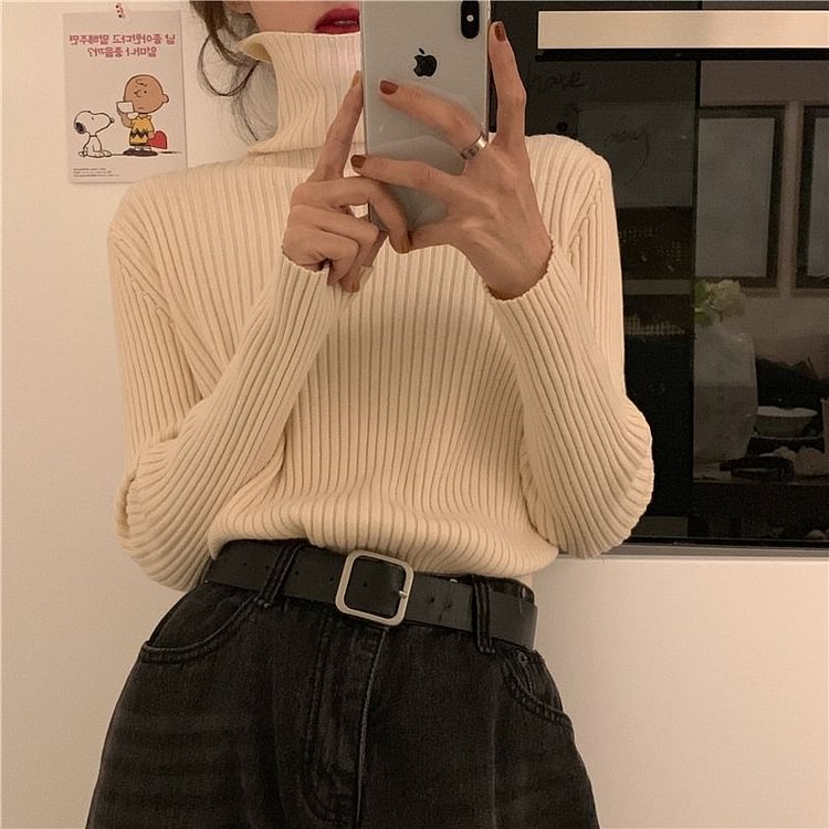 Turtleneck Sweater YP2584