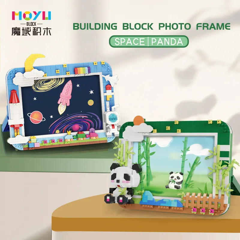 Limited edition special offer：Astronaut and Panda building blocks photo ...