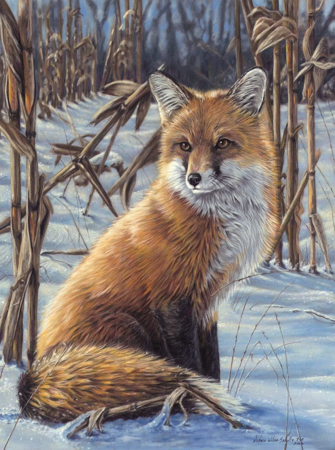 Animal Fox Paint By Numbers Kits UK For Adult HQD1372