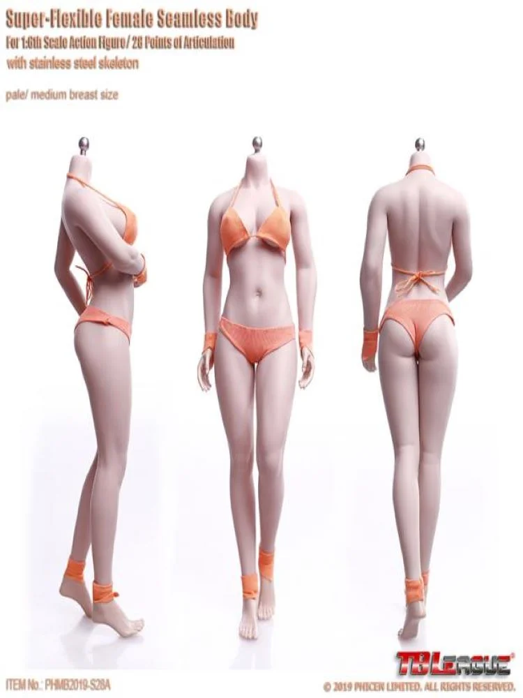 TBLeague S28A S29B 1/6 Scale female Seamless Body with Stainless Steel Skeleton collection figures-aliexpress
