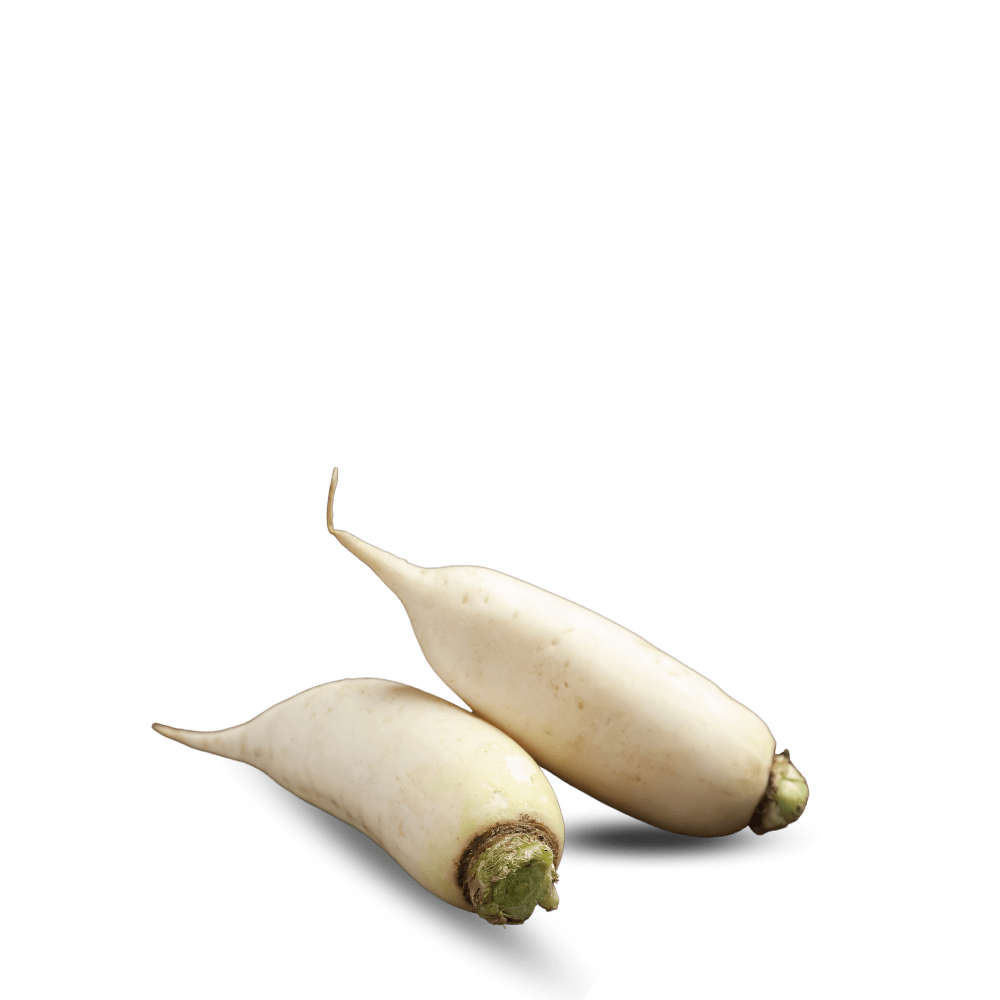 Heirloom Turnip Seeds ( Shaljam ) - Virtudes martillo