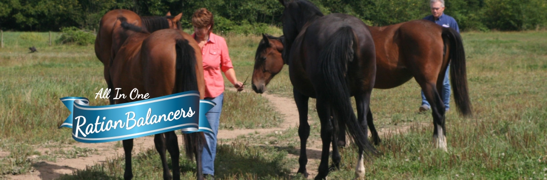 Equine All In One Nutritional Balancing Concentrates