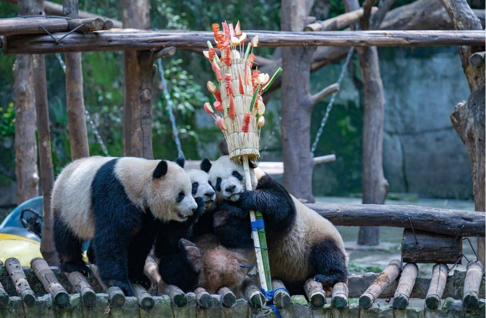 Chongqing Zoo