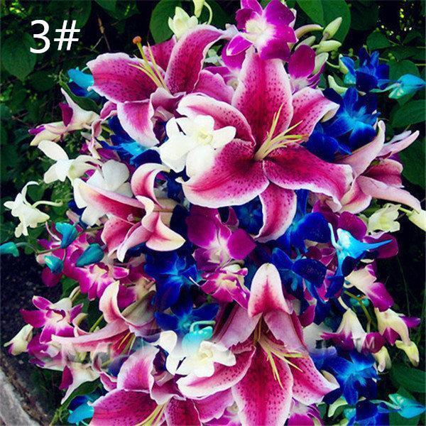 100 PCS Perfume Liliy Seeds Cheap Perfume Lilies Seeds Rare Color