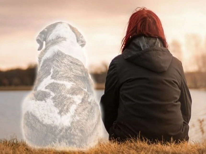 Why Losing a Pet Can Feel Like Losing a Family Member
