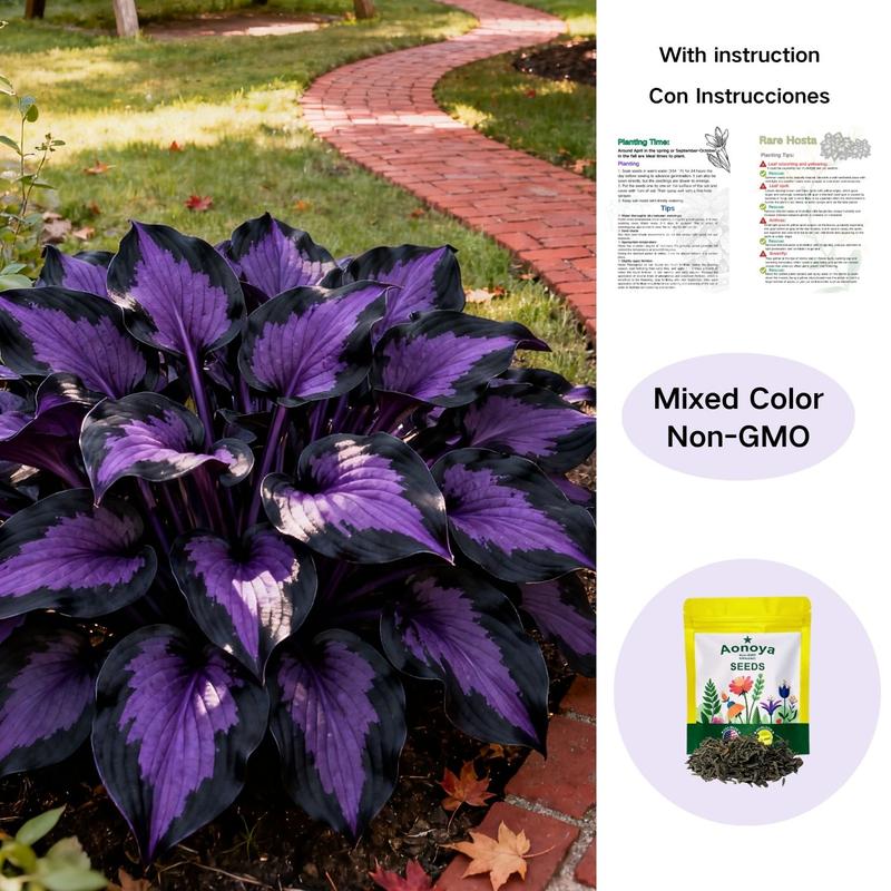 💥2025 Hot Sale 💜Purple Heart Hosta Seeds Perennial Shade Plant for Garden