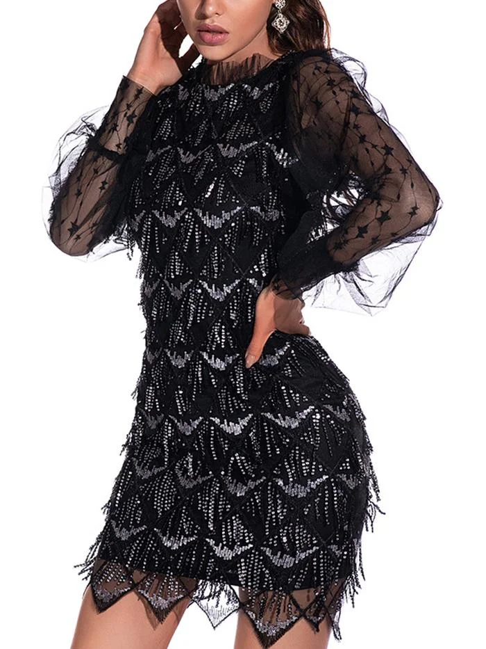 Sexy Mesh Fringed Embroidered Sequin Dress