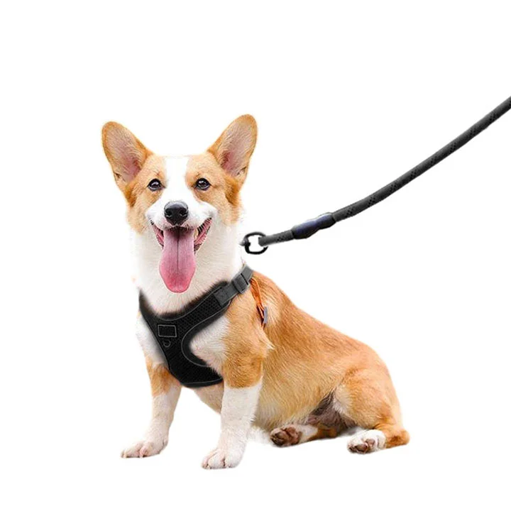 Dog Vest Style Adjustable Leash