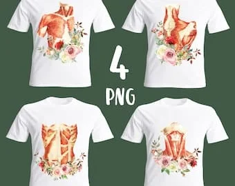 pornhint Pornhint 4 Anatomy clipart, watercolor clipart, floral clipart, medical clipart, human anatomy png, anatomy designs, anatomy sublimation, massage art