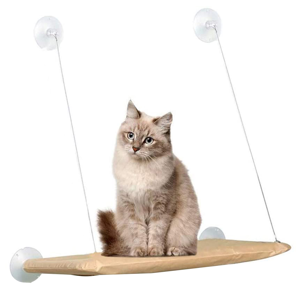 Kitten Sleeping Bed, 501 Original