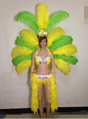 VCshoes Singer Dance Show Women's Feather Wings Costume Party Samba Cosplay Festival Carnival Costumes Feather Backboard For Women