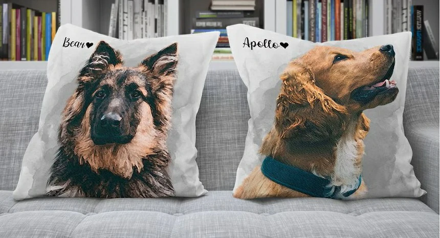Are Custom Pet Pillows Safe and Washable? What You Need to Know