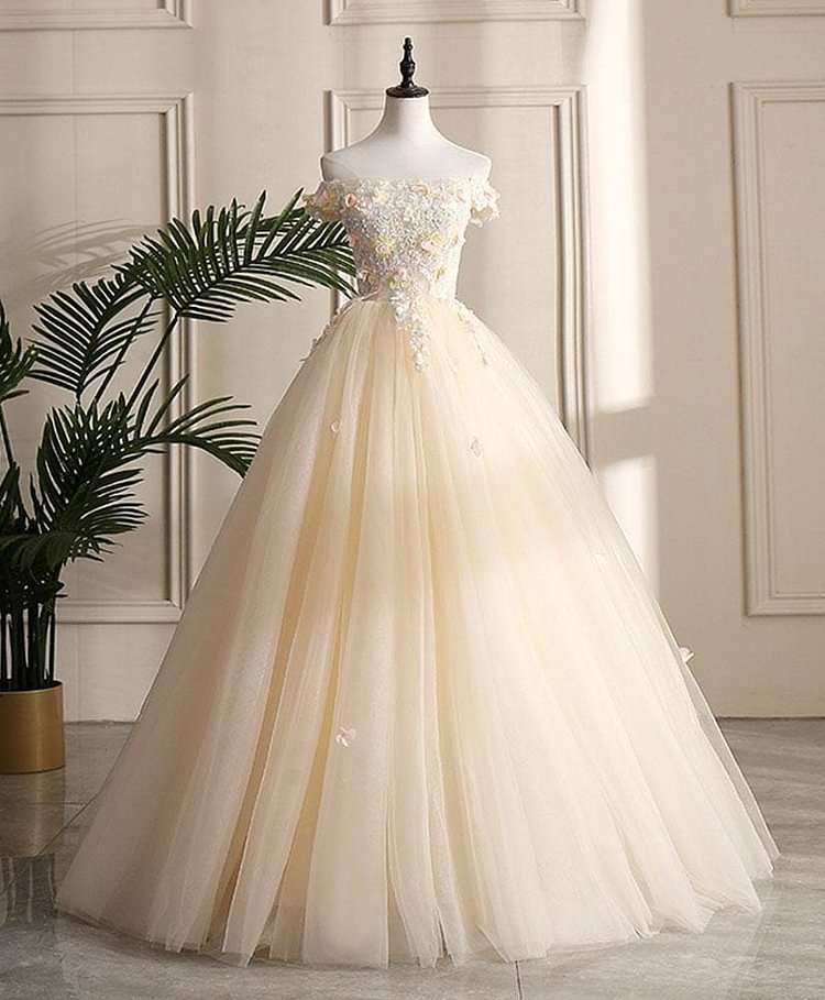 Champagne Tulle Off Shoulder Lace Long Prom Dress ,Sweet 16 Dress A024