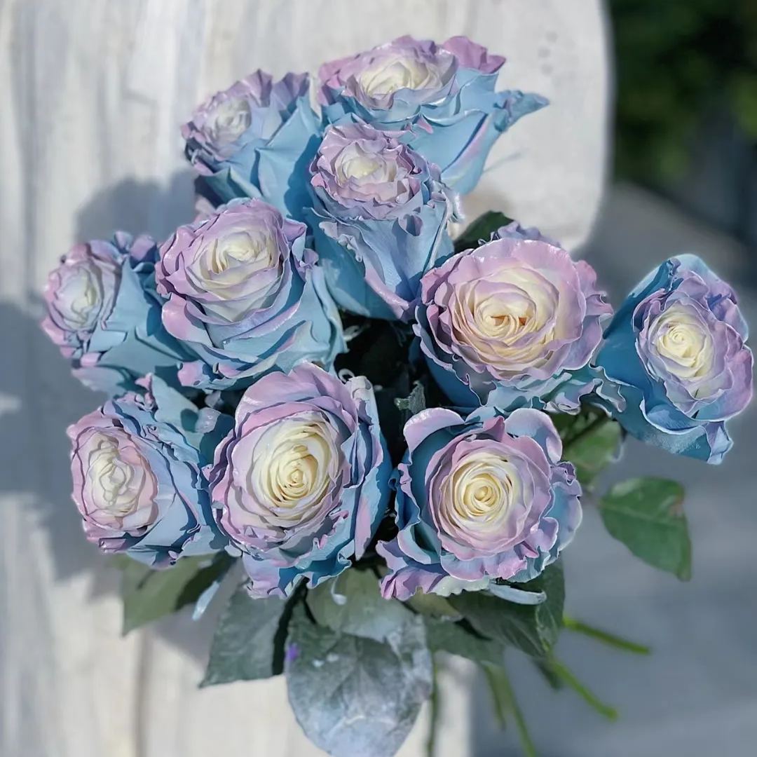 Ecuadorian Rose - Fairy Tale Seeds