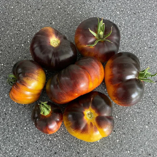 Lucid Gem Tomato Seeds Organic, Heirloom Tomatoes