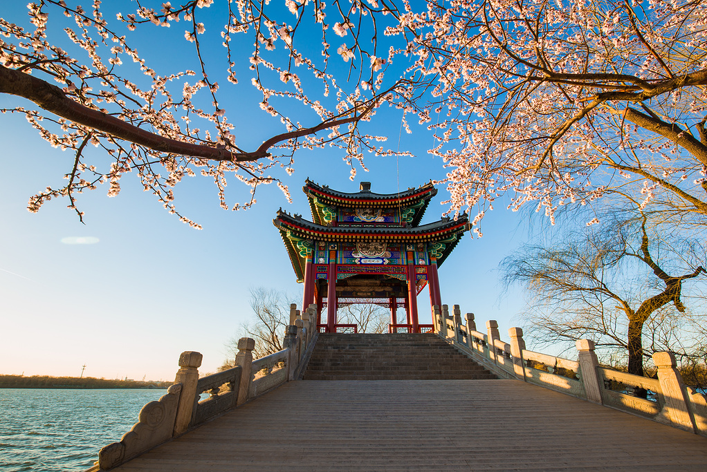 Summer Palace