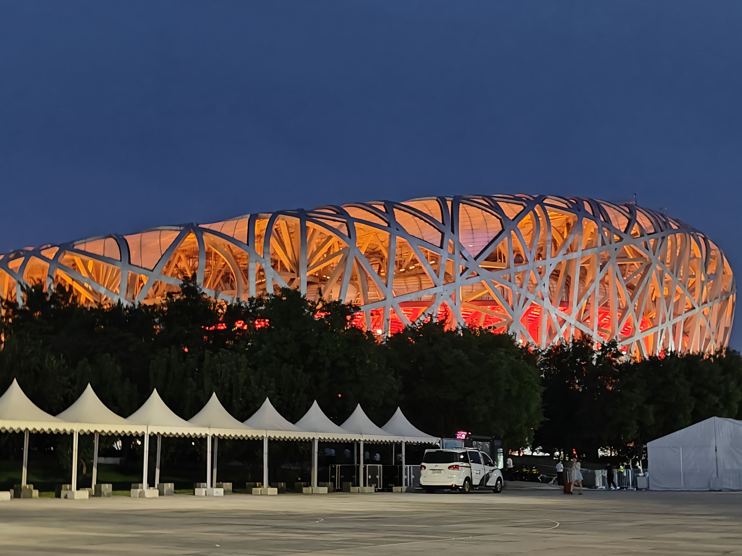 Bird's Nest
