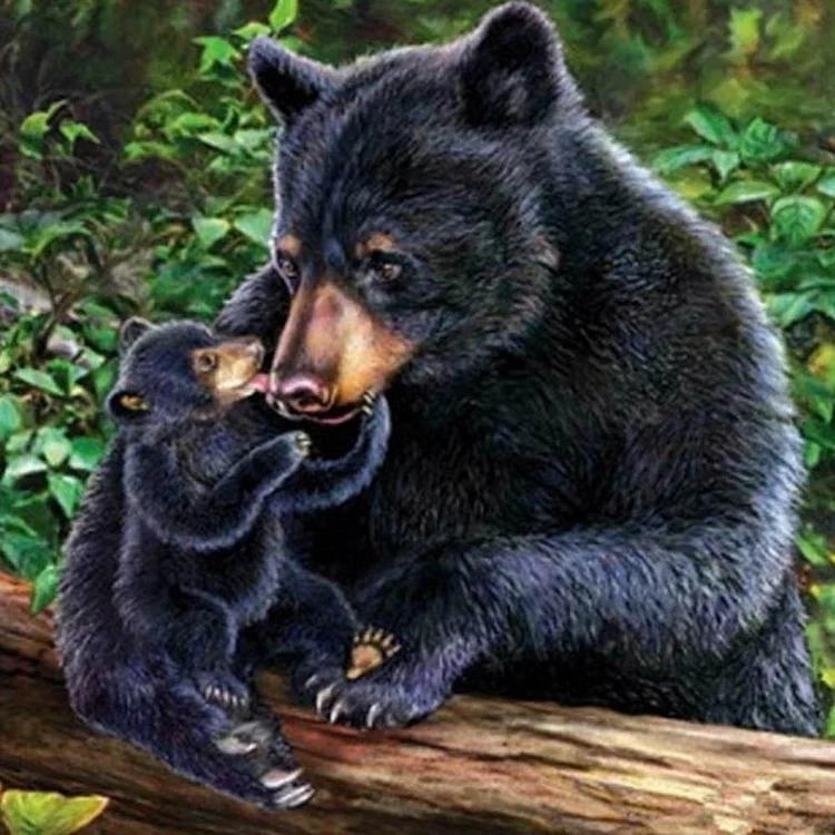 Black Bear Round Full Drill Diamond Painting 30X30CM(Canvas) gbfke