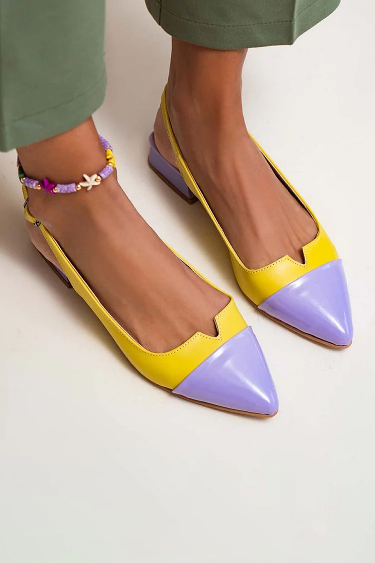 Colorblock Cut Out Buckle Slingback Strap Pointy Toe Flats