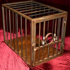 pornhint Pornhint Slave cage Puppycage BDSM fetish cage head pillory solid steel iron cage DOM