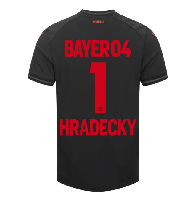 Bayer Leverkusen Lukas Hradecky 1 Home Shirt Kit 2023-2024