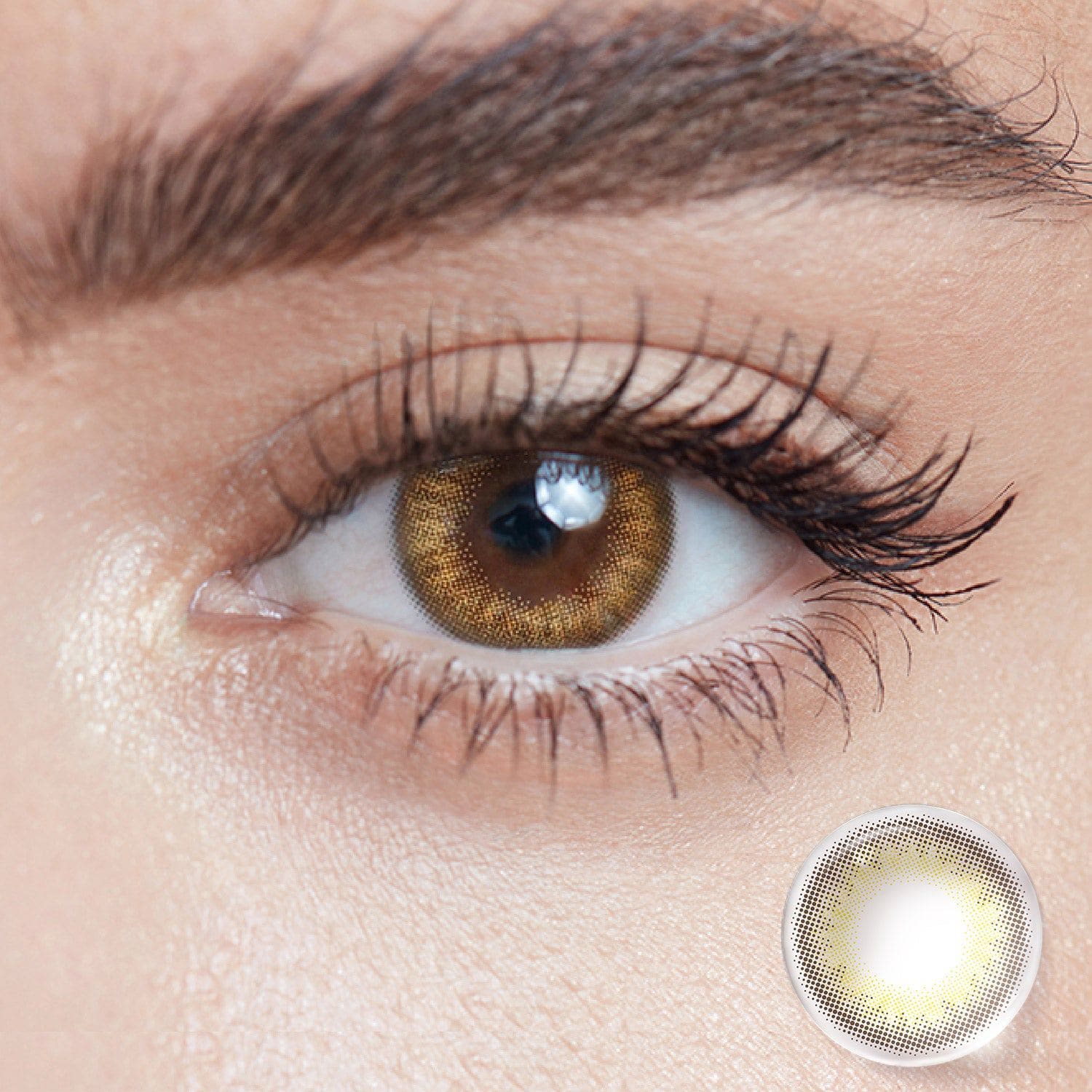 Muse Brown Colored Eye Contacts | Half-Yearly