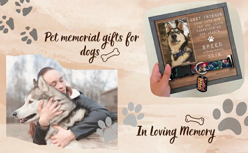 50 Unique and Creative Sayings for Personalized Pet Memorial Gifts