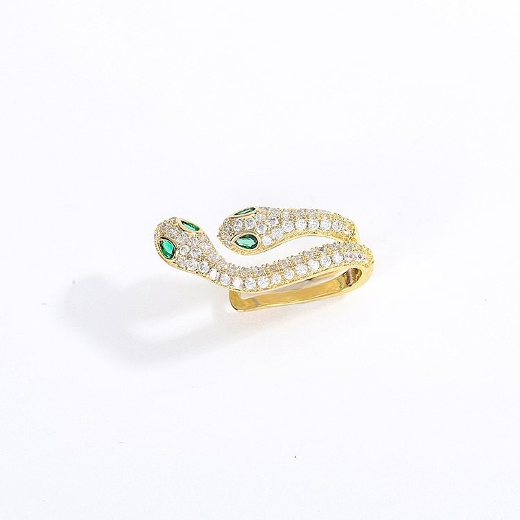 Simple Serpentine Microset Zircon Earrings