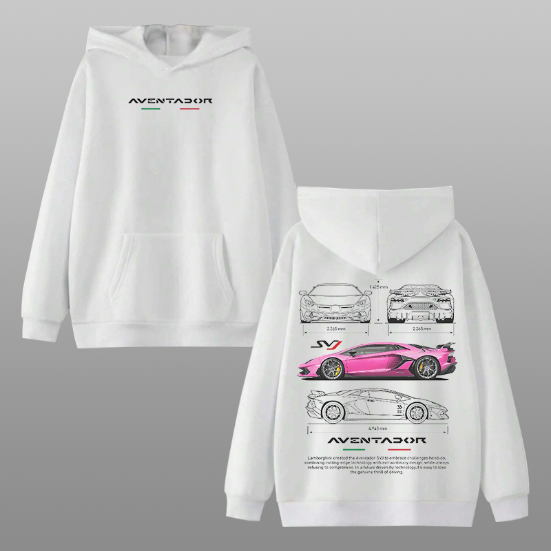 F1 Alfa Romeo Car Printed Men's Hoodie - Devcarry