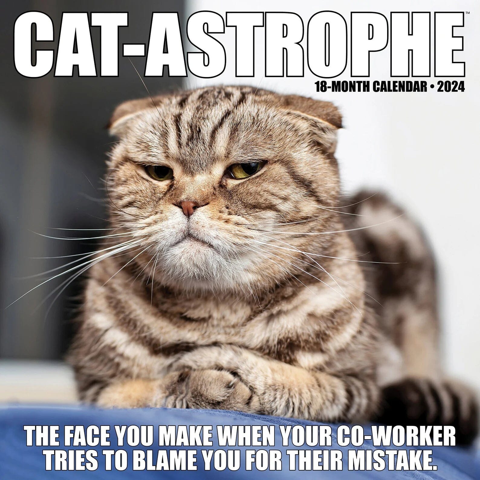 Cat Astrophe 2024 Wall Calendar