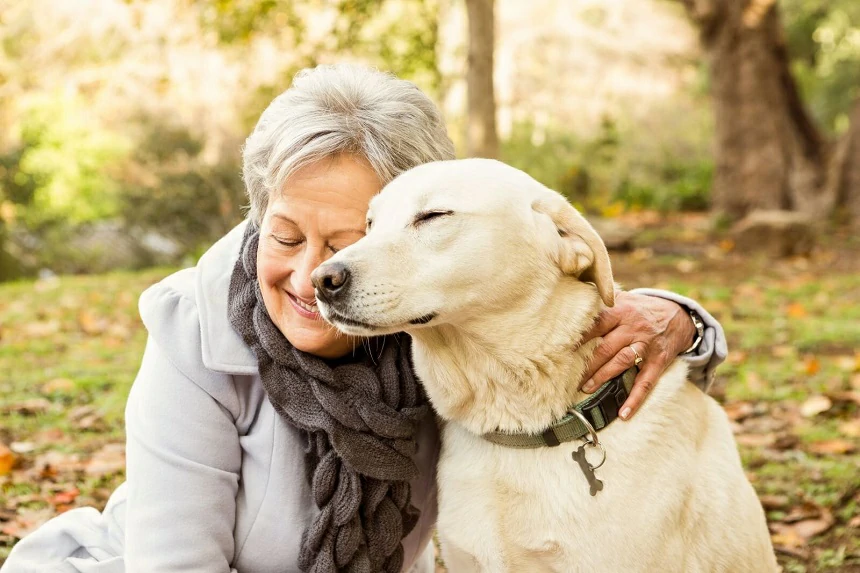 Why Is My Dog Suddenly Calm? Health Issues in Senior Dogs You Shouldn't Ignore