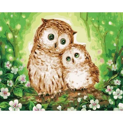 Owl Paint By Numbers Kits UK In Store PH9318