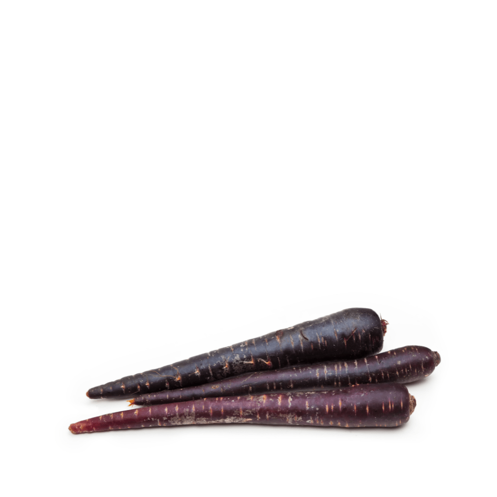 Heirloom Carrots Seeds - Black - Pastenaga negra