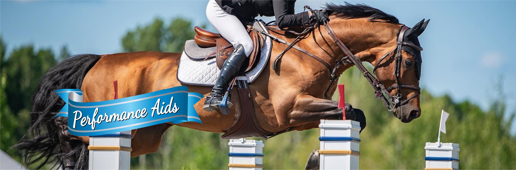 Equine Performance Support and Enhancing Formulas 