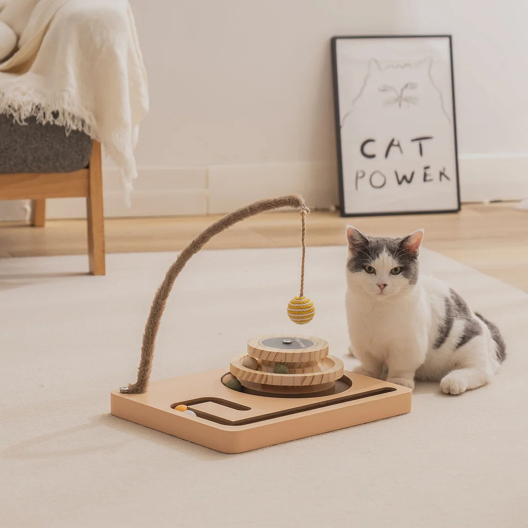 Record Player Cat Toy   Mewoofun