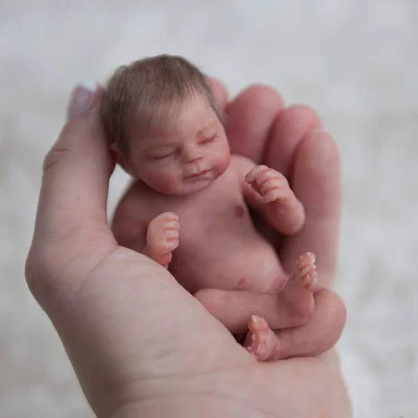 Miniature Doll Sleeping Full Body Silicone Reborn Baby Doll, 6 Inches Realistic Newborn Baby Boy or Girl Doll Named Reign
