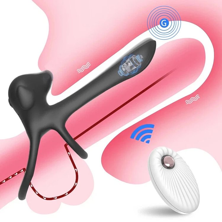 pornhint Pornhint Sex Toy for Women Orgasm Vibrator-Clit G-Spot Dildo Massager Rechargeable Remote Vibrator