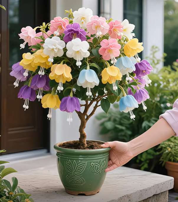 💥 【Promotion in progress】💥-🦋Heavy Petal Paulownia Planter