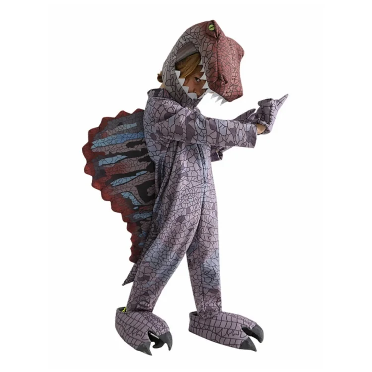 Kids Children Dinosaur Gray Funny Outfits Cosplay Costume Halloween Carnival Suit