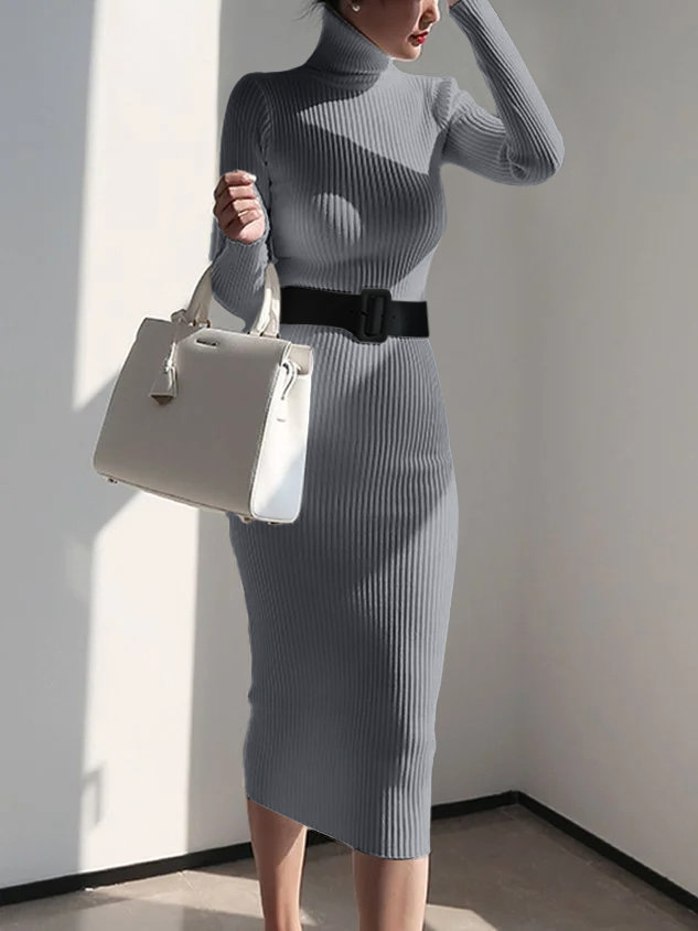 Rotimia Elegant Turtleneck Sweater Dress