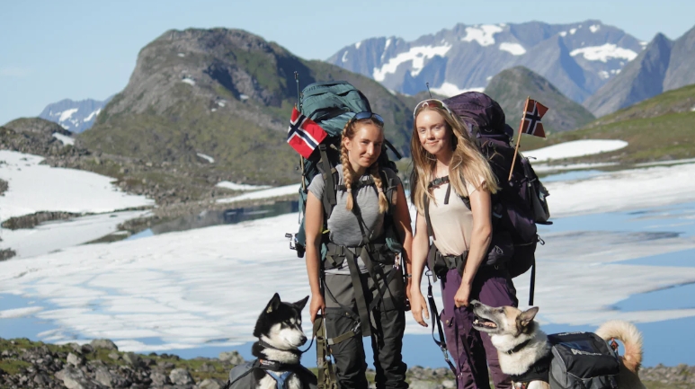 How Tactical Dog Harnesses Overcome Outdoor Challenges