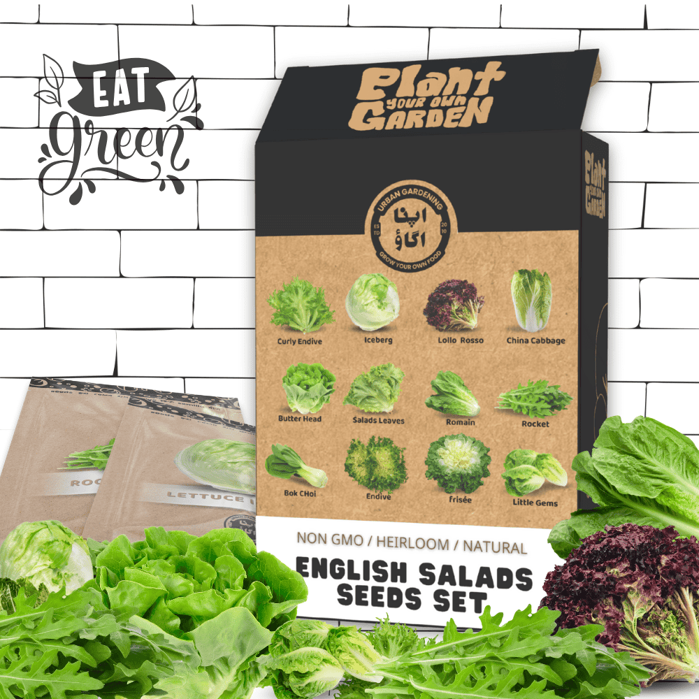 Salads Seeds Set – 12 Seeds Packs Bundle
