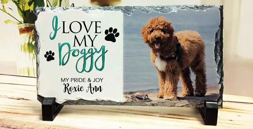 Creating a Pet Memorial Stone at Home: Honoring Your Furry Friend