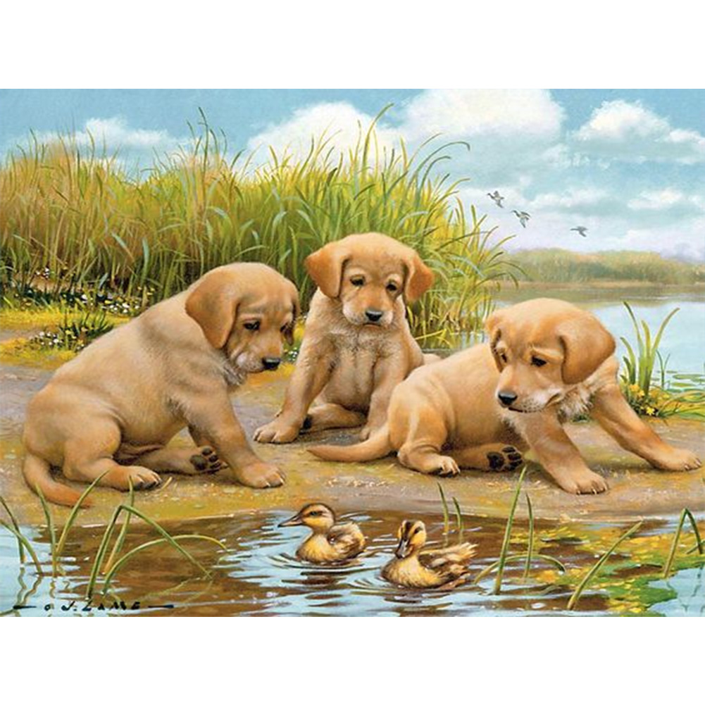 (Multi-Size) Puppy - Round/Square Drill Diamond Painting 40*30CM/50*40CM, Square diamond 40*50cm, 501 Original
(Multi-Size) Puppy - Round/Square Drill Diamond Painting 40*30CM/50*40CM, Square diamond 40*50cm, 501 Original